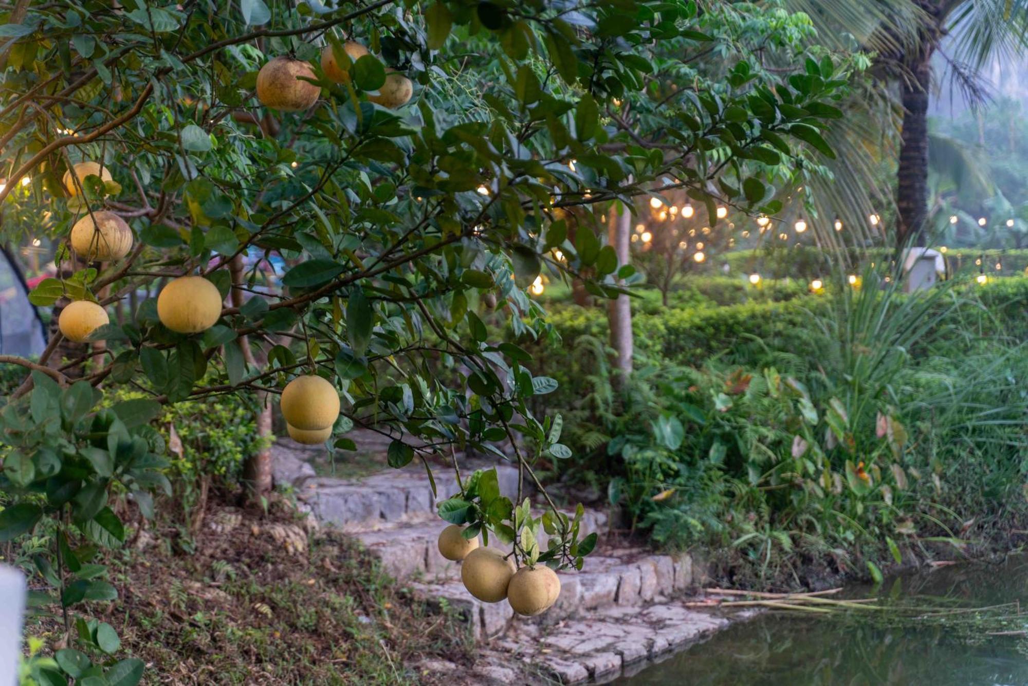 The Goat Boutique Resort Ninh Binh Luaran gambar